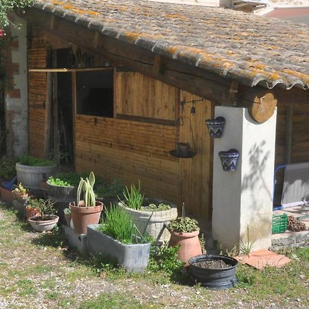 ホテル La Ferme De Tonton Jules 2 アントレーグ・シュル・ラ・ソルグ エクステリア 写真